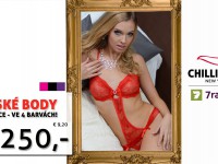 Aktuální akce - Dámské body Gentle Lace ve 4 barvách se slevou 48%